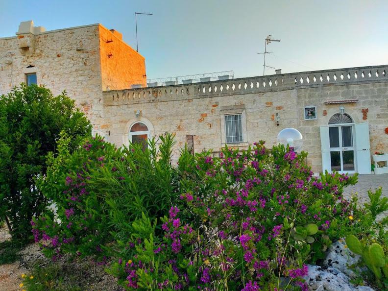 Ancient Stone House